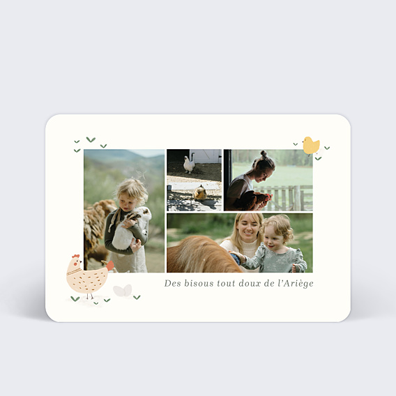 Carte Postale Animaux Campagne