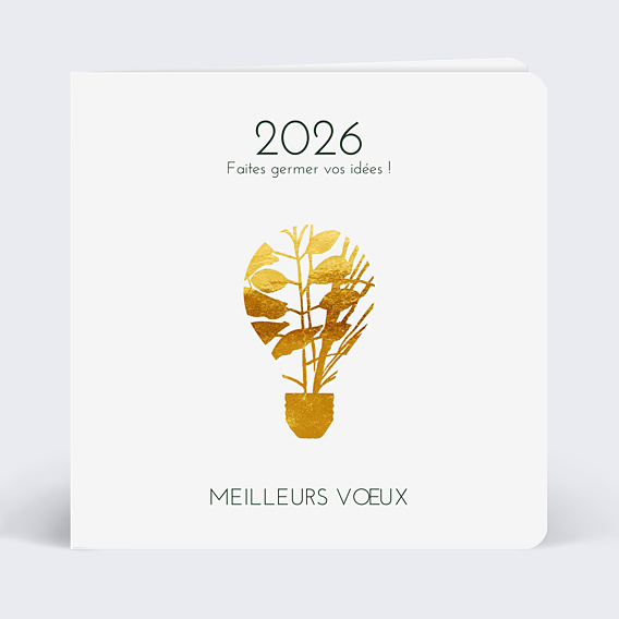 Carte de Voeux Entreprise Nature Lumineuse