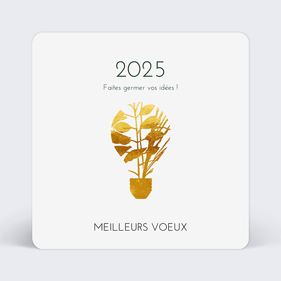 Carte de vœux entreprise Nature Lumineuse