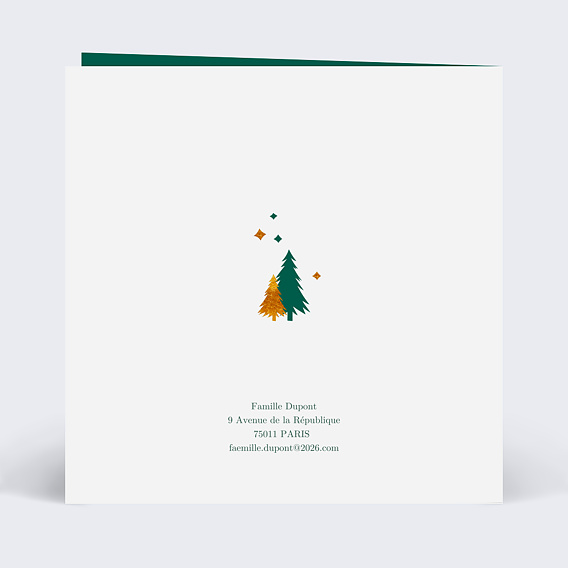 Carte de voeux Découpe paysage d'hiver Verso