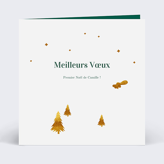 Carte de Voeux Particuliers Découpe paysage d'hiver
