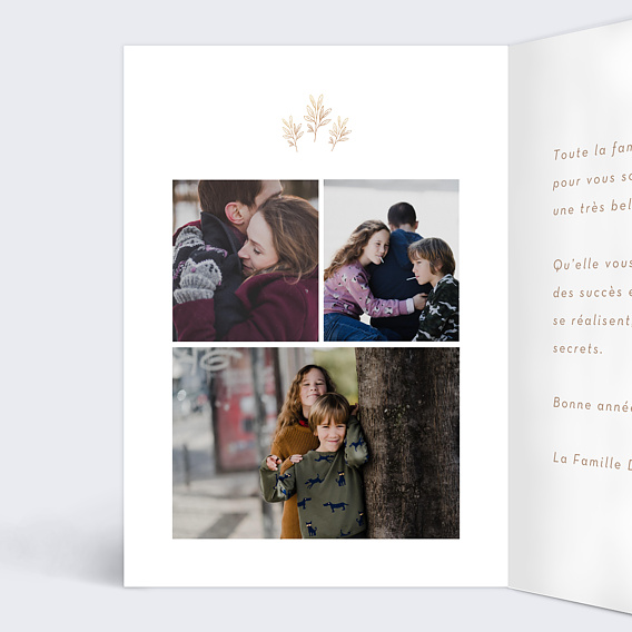 Carte de voeux Elégant Éclat Intérieur Gauche