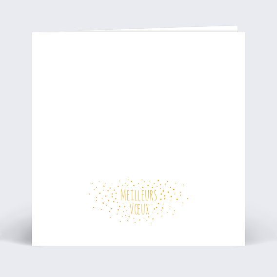 Carte de voeux Dorure Etoiles Photos Recto