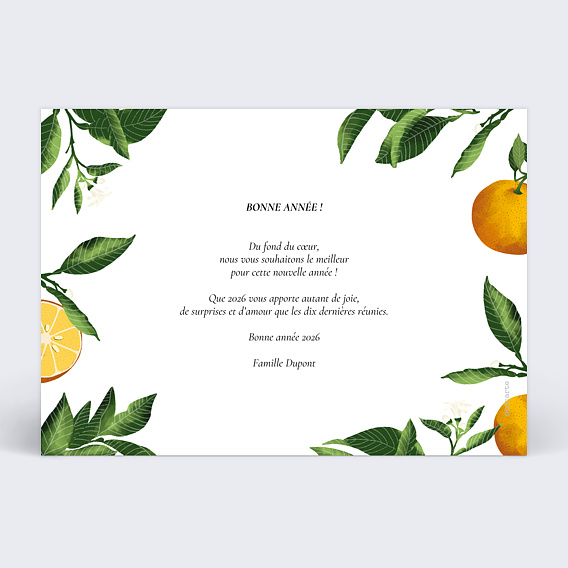 Carte de voeux Bonne Année Vitaminée Verso