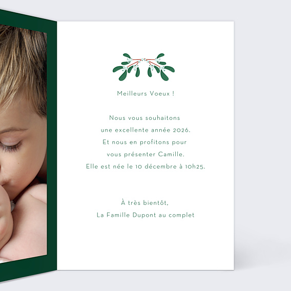 Carte de Voeux Particuliers Branches de houx
