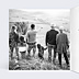 Carte de Voeux Particuliers Dorure Etoiles Photo