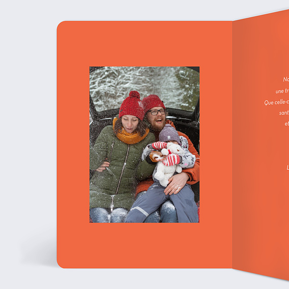 Carte de Voeux Particuliers Bouquet hivernal