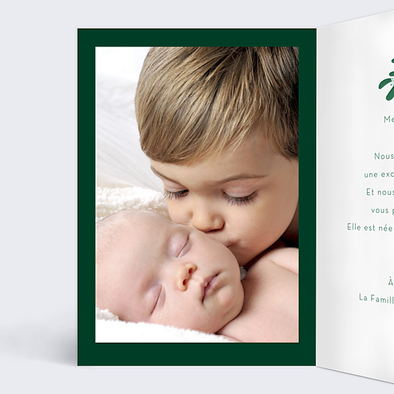 Carte de Voeux Particuliers Branches de houx