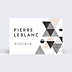 Carte de visite Architecte Graphique