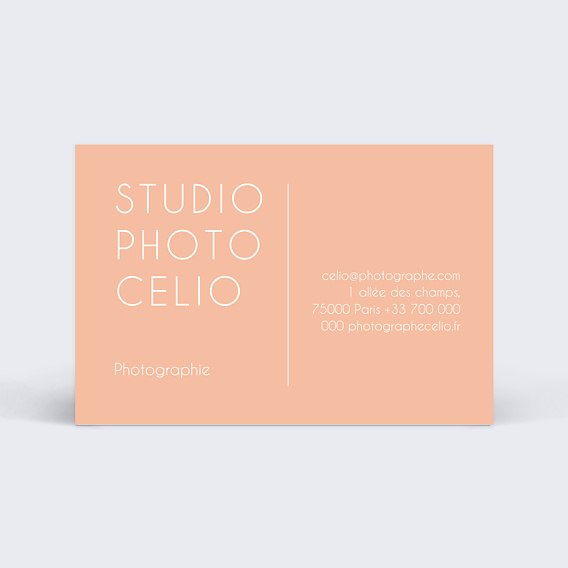 Carte de visite Photographe beige Verso