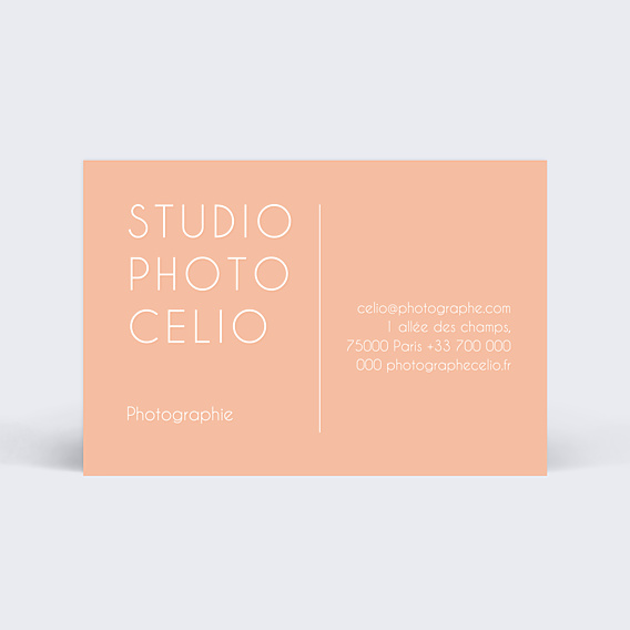Carte de visite Photographe beige