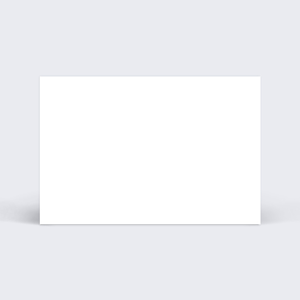 Cartes de visite Importez votre graphisme personnalisé Verso