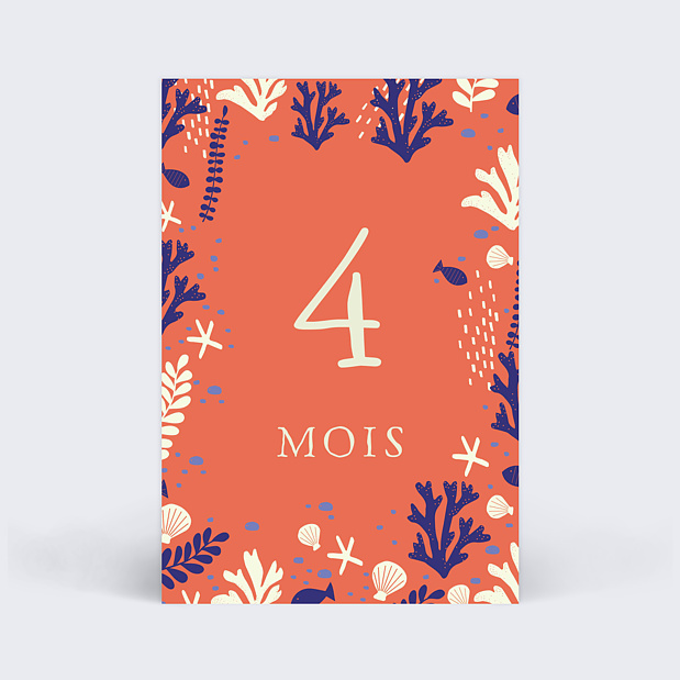 Cartes Étapes Bébé Petits Motifs Carte 5