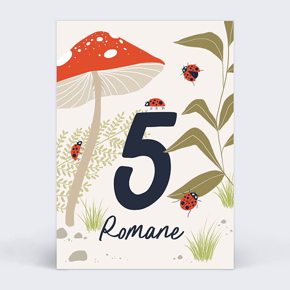Invitation anniversaire enfant Coccinelle