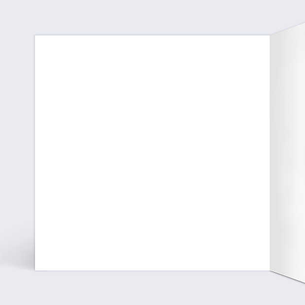 Carte Anniversaire Sobre et Jolie Intérieur Gauche
