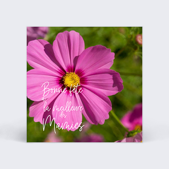 Fête des Grands-Mères Pétales