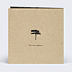 Invitation Toutes Occasions Lampions Délicats