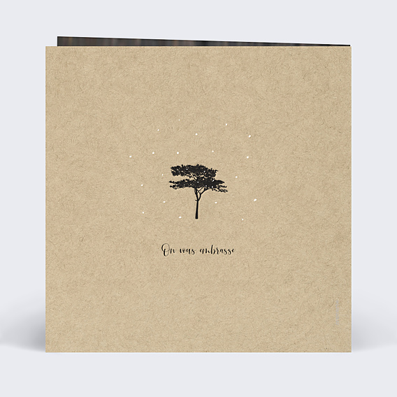 Invitation Toutes Occasions Lampions Délicats