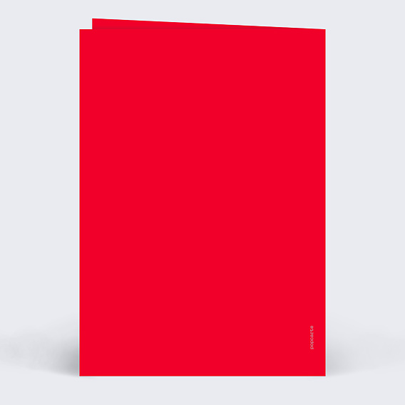 Invitation anniversaire Tabloïd Verso