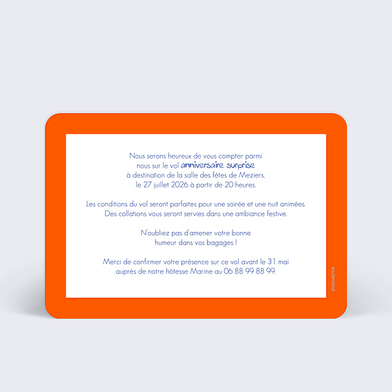 Invitation Anniversaire Adulte Billet d'Avion Gris
