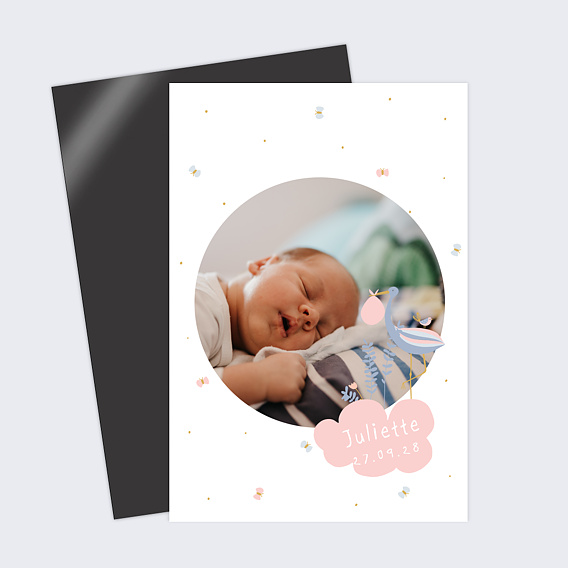 Faire part naissance Jolie Cigogne