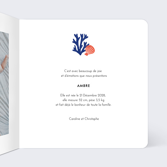Faire part naissance Conte d'Été Intérieur Droit