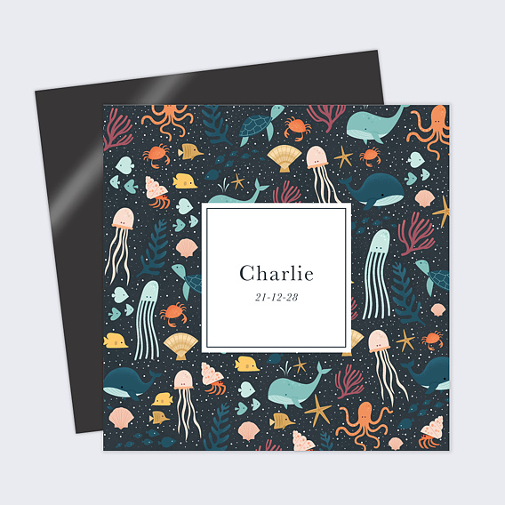 Faire part naissance Multi Etoiles de Mer