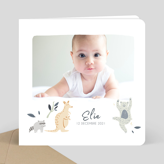 Faire part naissance Wild animals Recto