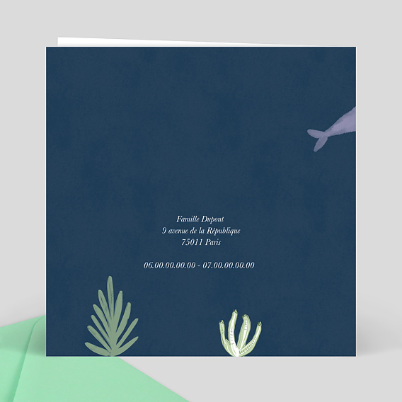 Faire part naissance Etoiles de Mer Verso