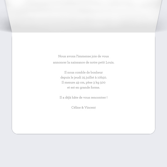 Faire part naissance Garçon Paysage Intérieur Droit