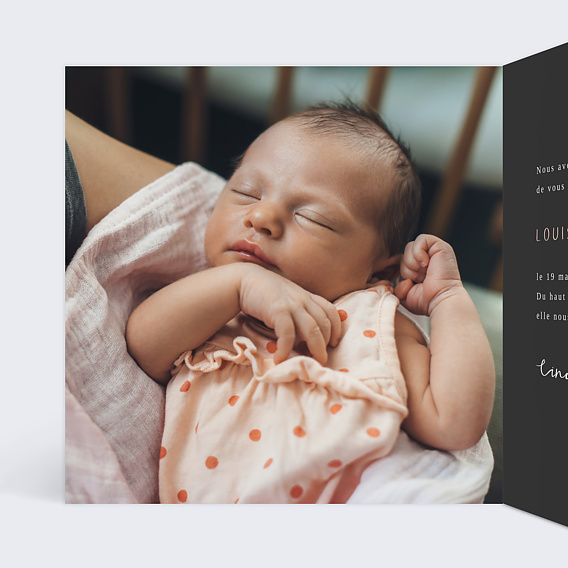 Faire part naissance Ardoise Cigogne Intérieur Gauche