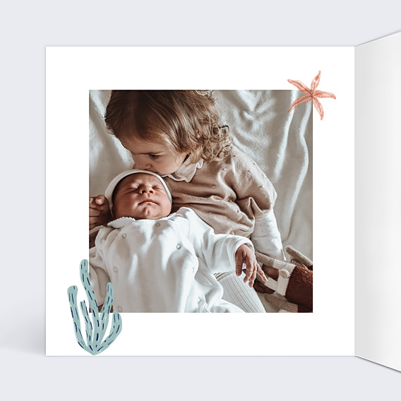 Faire-part Naissance Etoiles de Mer