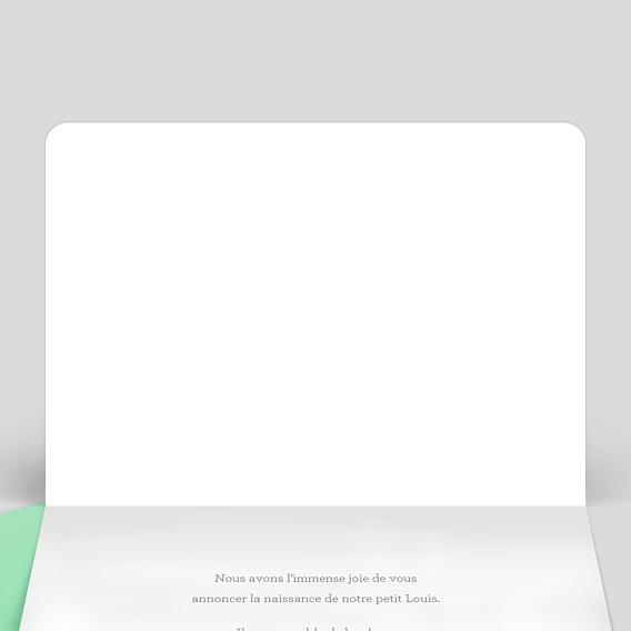 Faire part naissance Garçon Paysage Intérieur Gauche