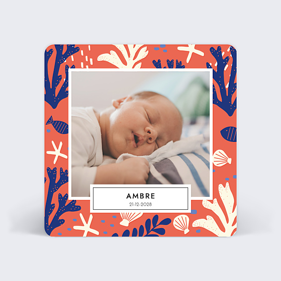 Faire part naissance Conte d'Été