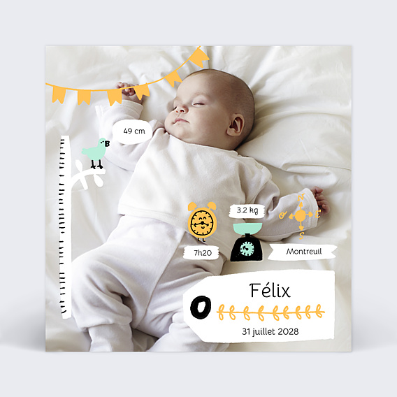 Faire-part Naissance Picto Photo