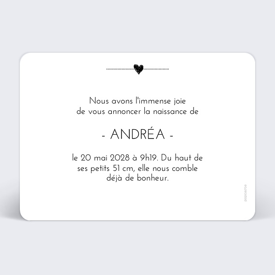 Faire part naissance Picto cigogne Verso