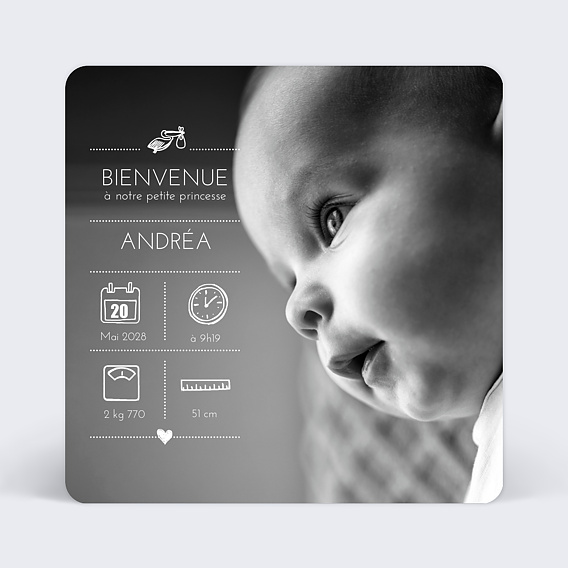 Faire part naissance Picto cigogne