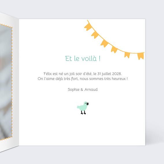 Faire part naissance Picto Photo Intérieur Droit