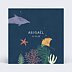 Faire part naissance Etoiles de Mer