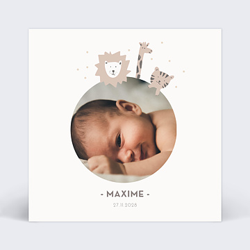 Faire-part Naissance Savane Girafe