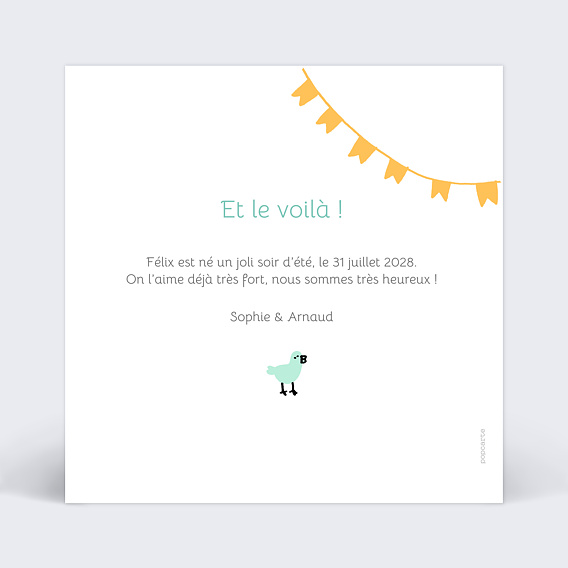 Faire part naissance Picto Photo Verso