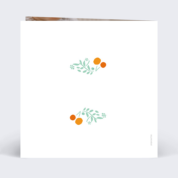 Faire part naissance Multi liberty jolis fruits Verso