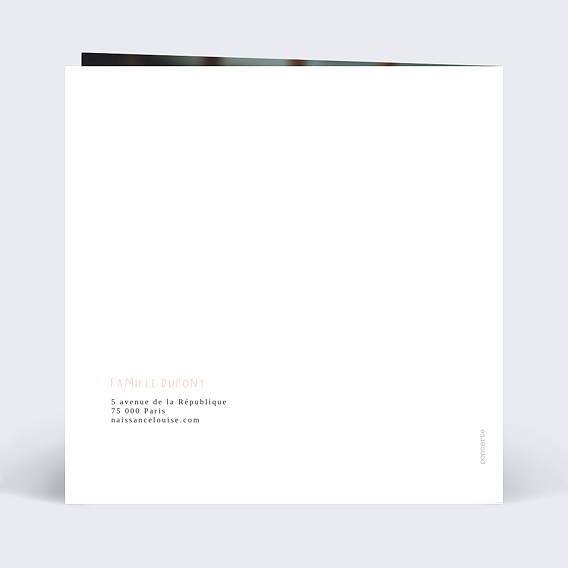 Faire part naissance Ardoise Cigogne Verso