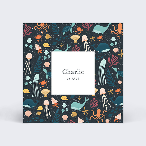Faire part naissance Multi Etoiles de Mer