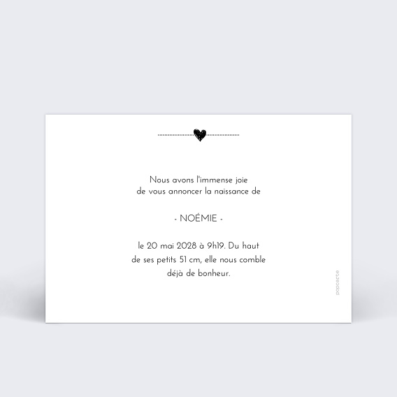Faire part naissance Jolies icônes Verso