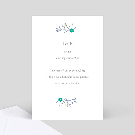 Faire part naissance Mi liberty garçon Verso