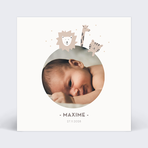 Faire part naissance Savane Girafe