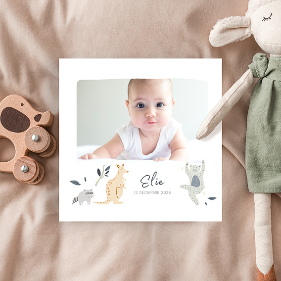 Faire part naissance Wild animals