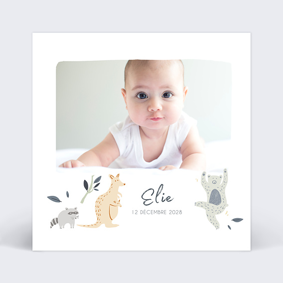 Faire part naissance Wild animals Recto