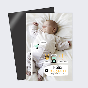 Faire-part Naissance Picto photo